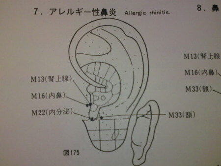 「内鼻」「腎上腺」