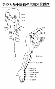 手の太陽小腸経