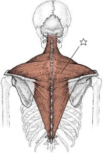 肩の緊張が不眠症やうつ病の原因になる時があります。