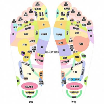 足つぼ図