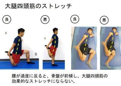 大腿四頭筋ストレッチ　引用