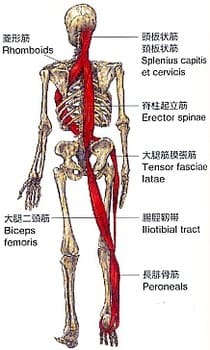 ラセン線