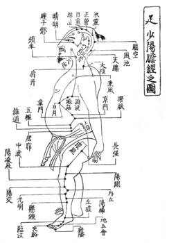 足少陽胆経