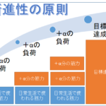 漸進性過負荷の原則と揉み返しのあるマッサージの共通点と違い