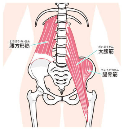 大腰筋