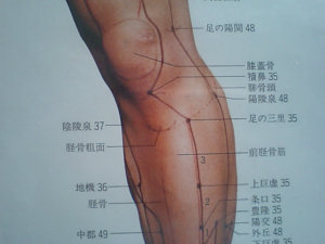 足三里がすごい 【究極 のツボはどこ?】ツボに毎日灸をして免疫力UPツボの場所など紹介