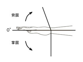 掌屈　背屈