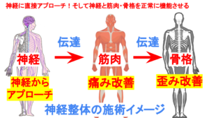 神経整体について
