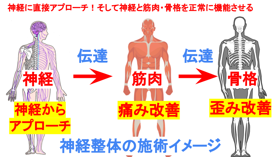 神経整体について