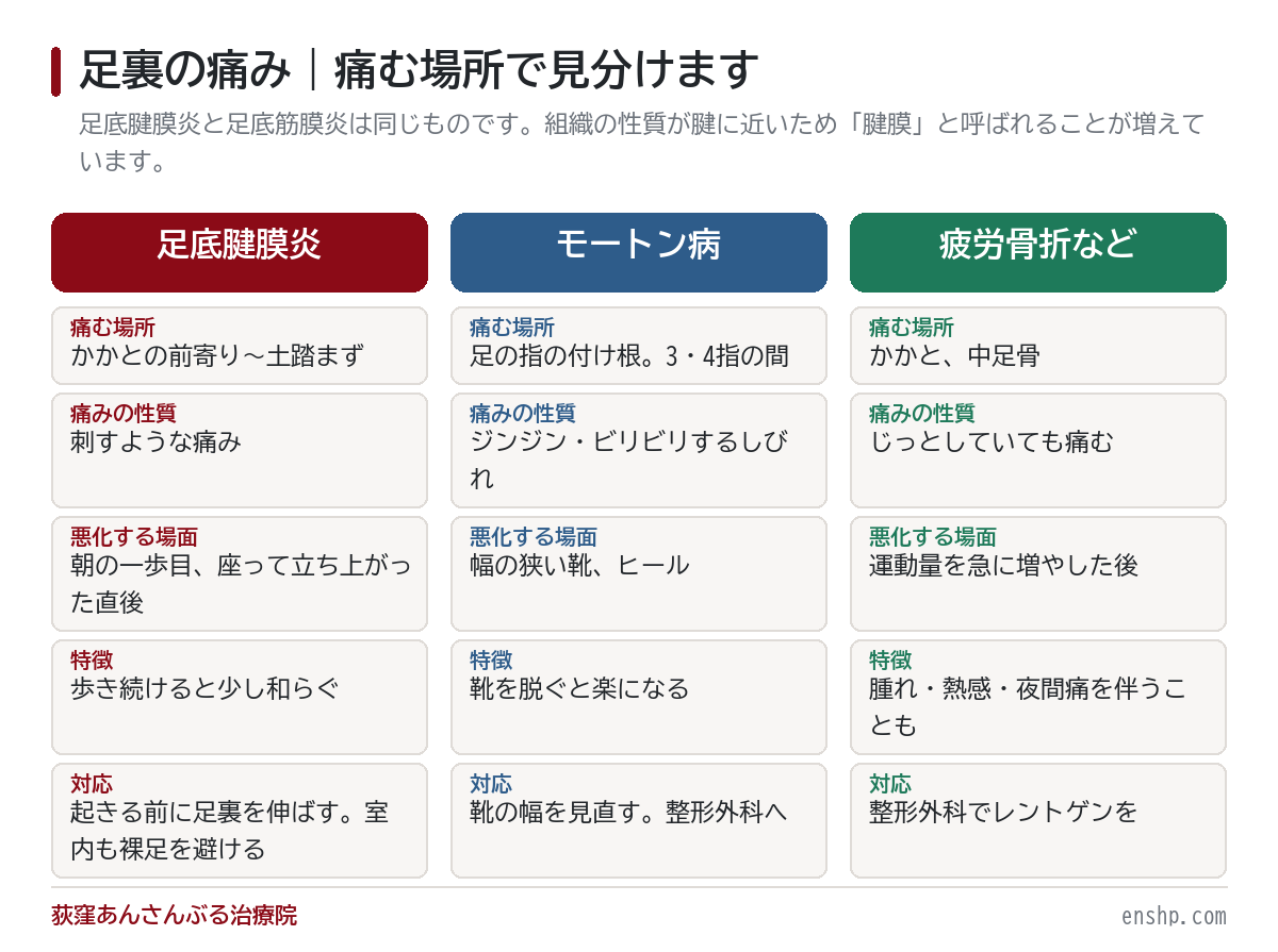 足底腱膜炎・足底筋膜炎・モートン病の違い｜朝の一歩目が痛いなら